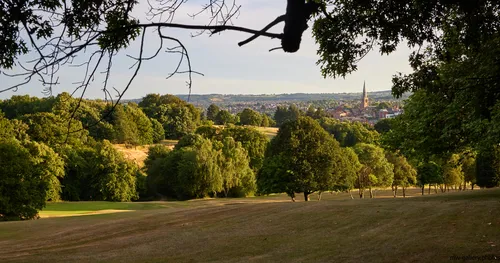 This landscape photograph captures Tapton Park in Chesterfield, United Kingdom, during a summer evening. The scene is set within lush nature, with a gentle slope covered in grass and surrounded by dense trees. In the distance, the church spire of Chesterfield rises above the skyline, serving as a notable landmark within the park's view. The image highlights the tranquil ambience of Tapton Park, where the combination of green parkland and mature trees reflects the seasonal vibrancy of summer in the United Kingdom. The iconic Spire of Chesterfield is visible beyond the foliage, establishing a strong sense of place and connection to the town.